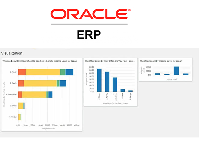 Erp oracle что это