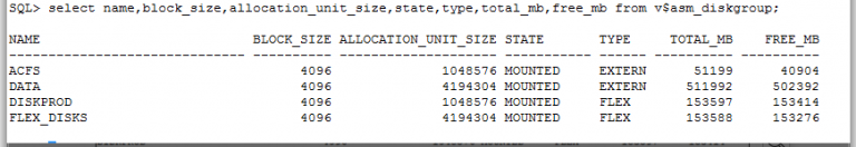 Oracle Asm File System