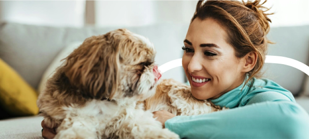 Petmate: Streamlining Product Management