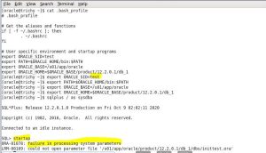 How to Recover From Lost or Missing Database Parameter Files Without any Backup