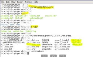 Backup files through using to create Database in Oracle 12c