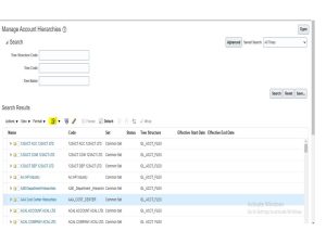 Oracle Fusion configuration – Account Hierarchies