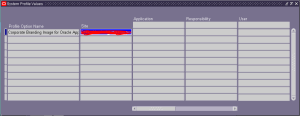 Customer LOGO in R12 Login Page(ORACLE EBS)