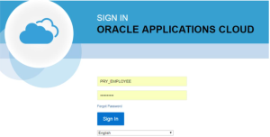 Oracle Fusion – How to Create an Implementation User