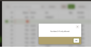 Interactive Grid Validations