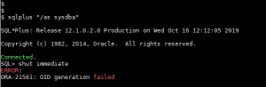 Oracle ORA-21561 : OID generation failed