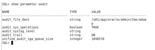 DBA Auditing database
