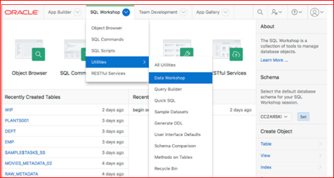 Data Loading in Oracle Apex