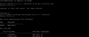 Issue faced after cloning pluggable database