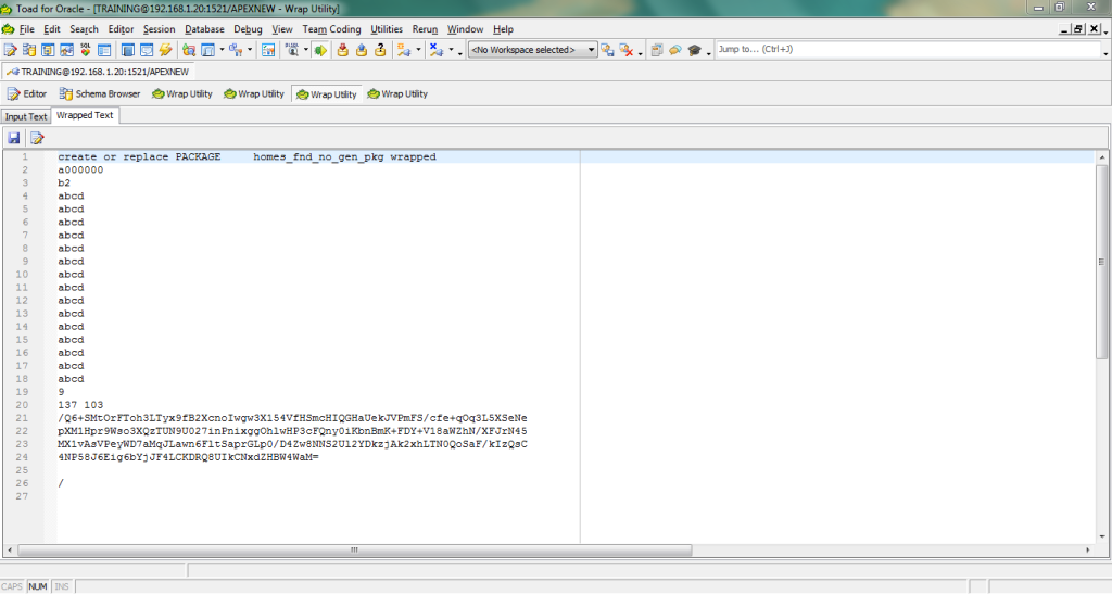How to wrap PL SQL Code in Oracle - Oracle Consulting Services | USA ...